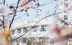 南京艺术学院
