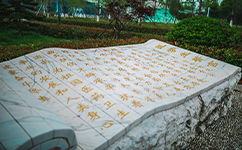 南京医科大学康达学院 - 我的大学