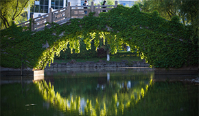 苏州职业技术大学 - 最美印记