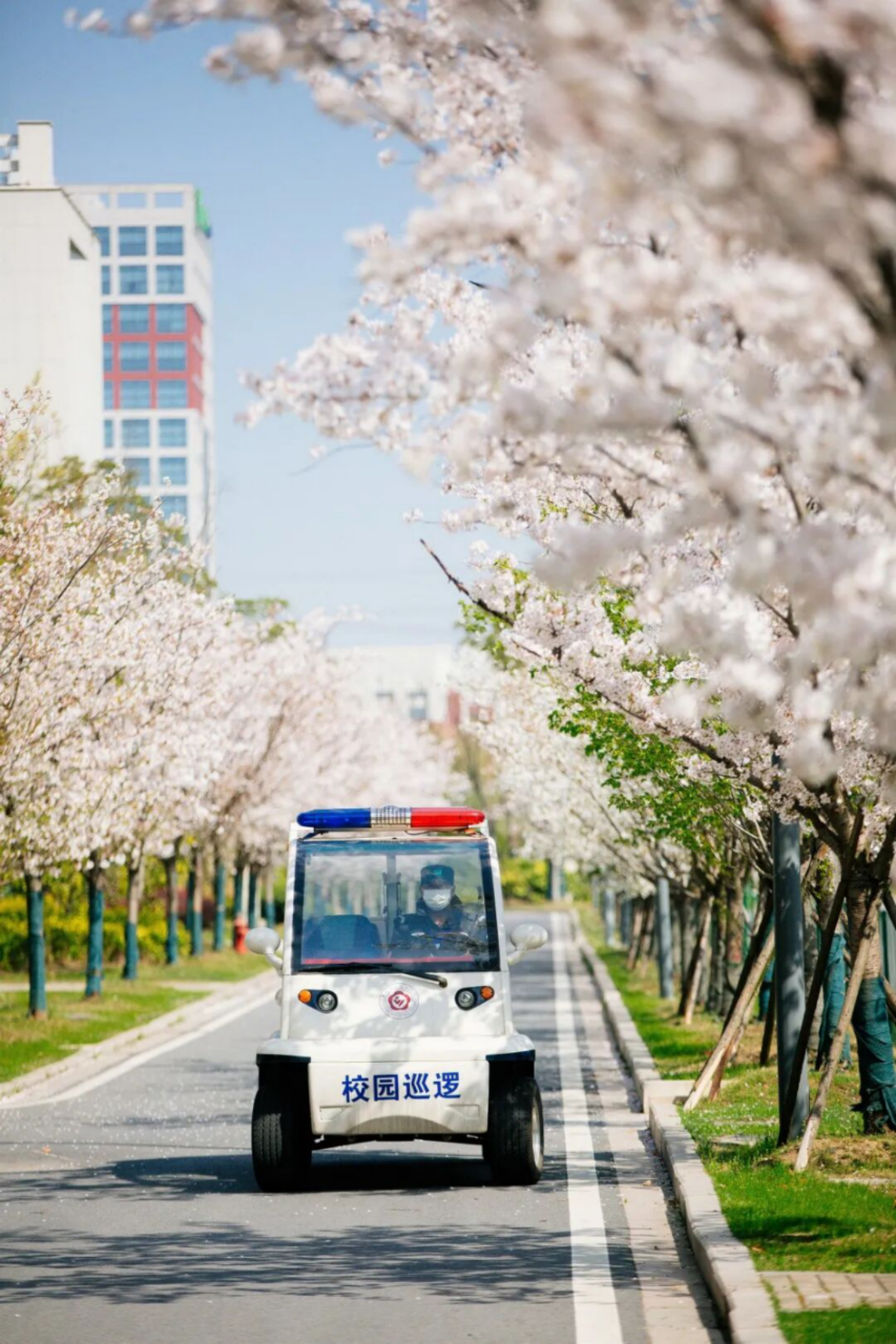 泰州职业技术学院