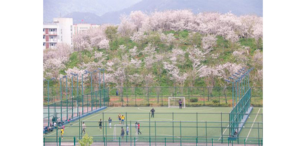 杭州师范大学
