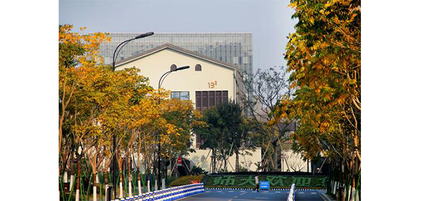 杭州师范大学