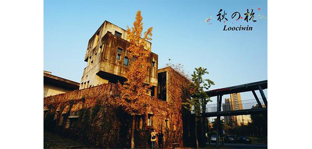 中国美术学院