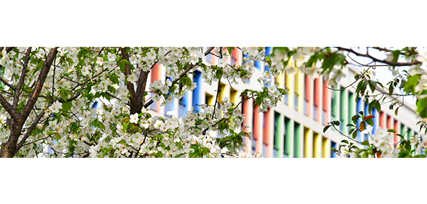 浙江传媒学院 - 最美大学