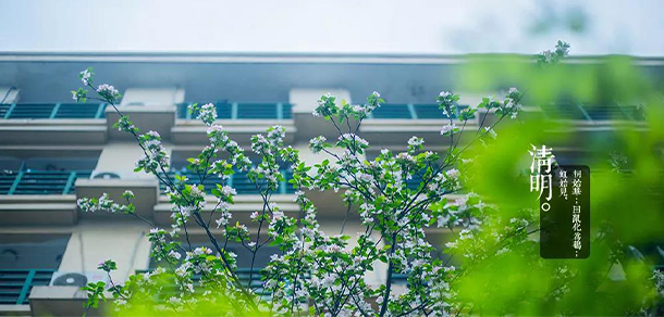 浙大城市学院 - 最美大学