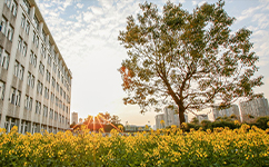 浙大城市学院 - 我的大学