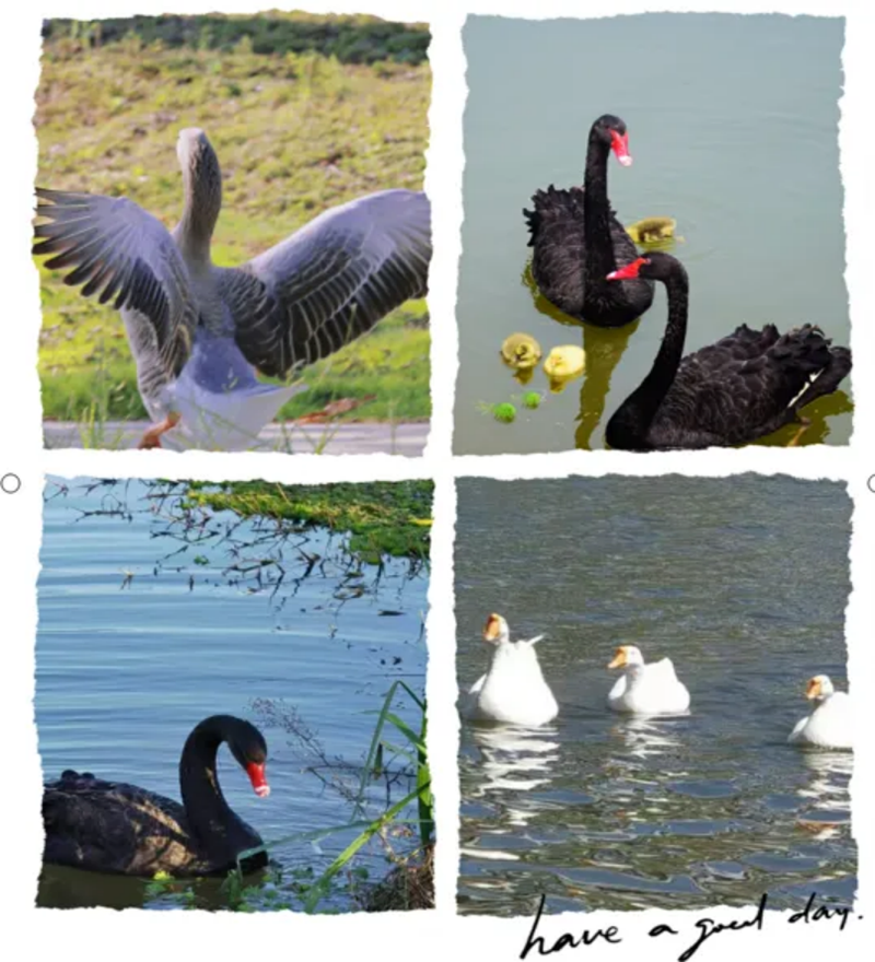 成就更好的自己 浙江师范大学行知学院邀你一起共赴远大前程