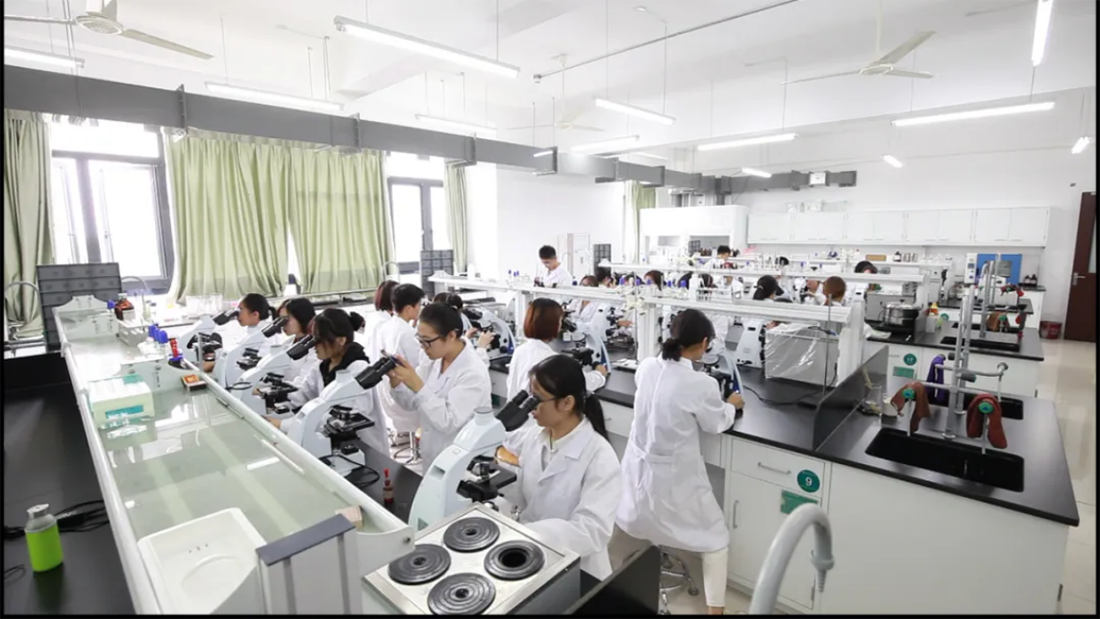 多少分能来浙师大行知学院，看这里