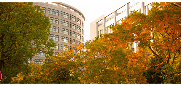 杭州师范大学钱江学院 - 最美大学