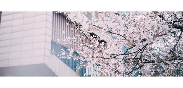 同济大学浙江学院 - 最美院校