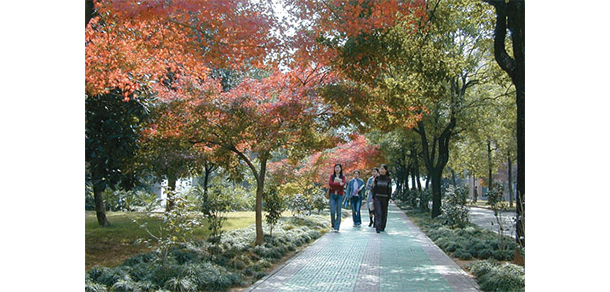 浙江师范大学 - 最美大学