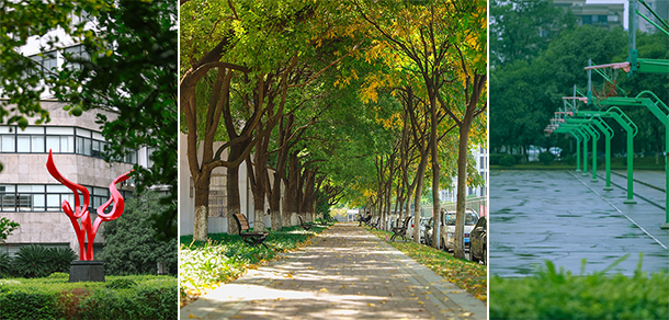 浙江育英职业技术学院 - 最美大学