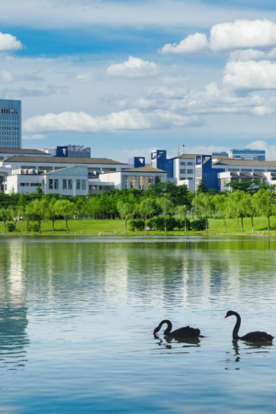 合肥工业大学 - 流金歲月