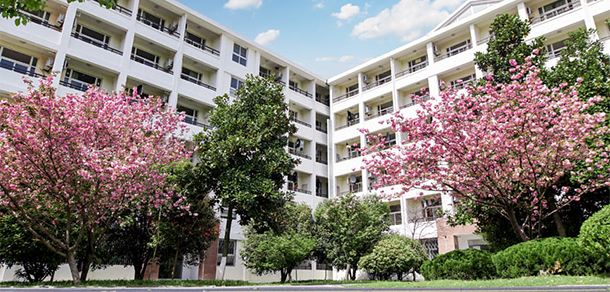 安徽文达信息工程学院 - 最美大学