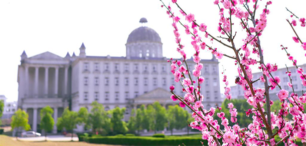 安徽外国语学院 - 最美大学