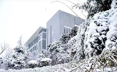 合肥经济学院 - 我的大学