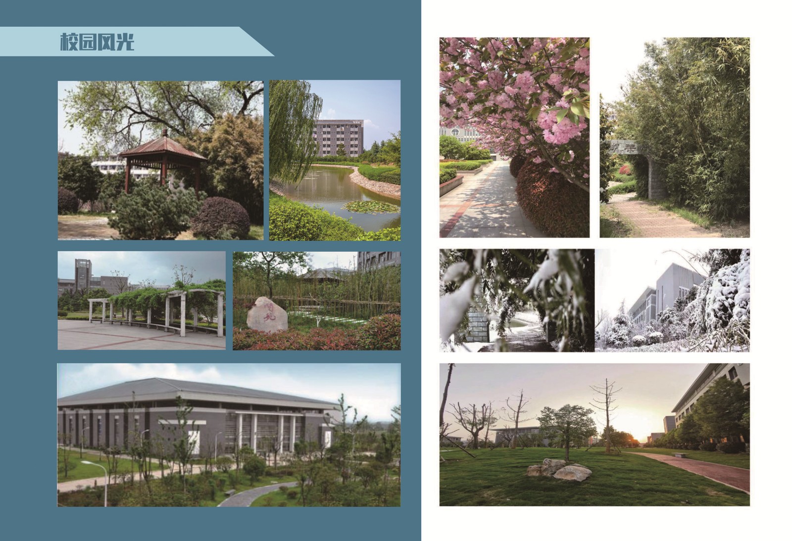 合肥经济学院2021年招生简章