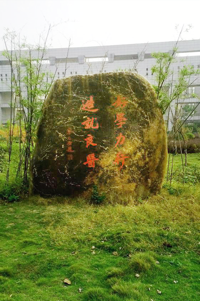 安徽医科大学临床医学院