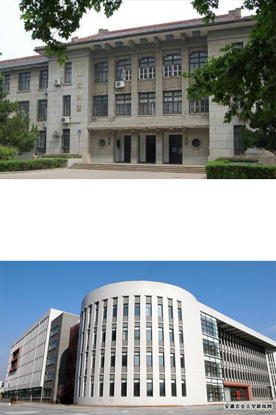 安徽农业大学 - 流金歲月