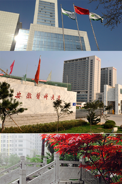 安徽医科大学 - 流金歲月