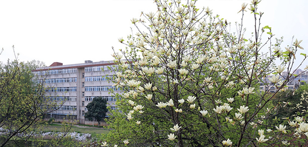 池州职业技术学院 - 最美大学