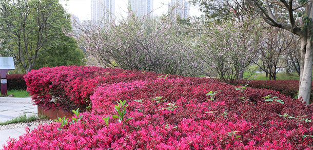 池州职业技术学院 - 最美大学