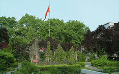 安徽艺术职业学院