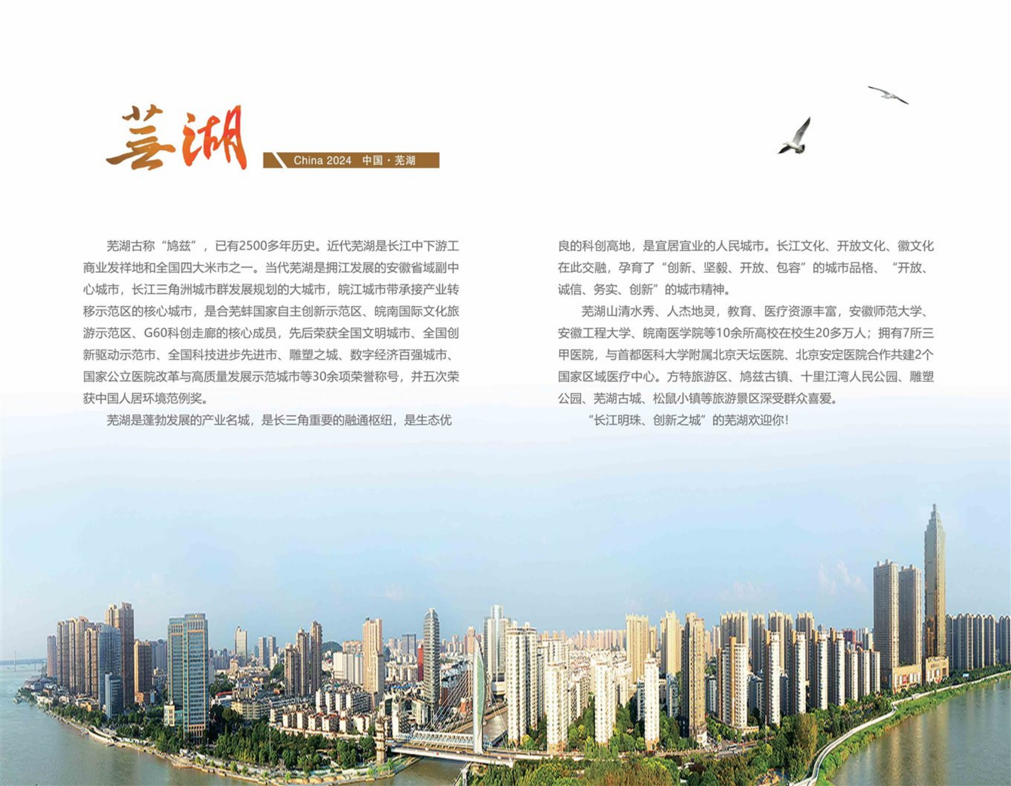 芜湖医药健康职业学院－2024年招生简章