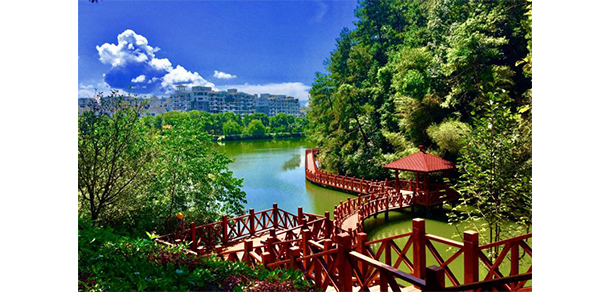 武夷学院 - 最美大学