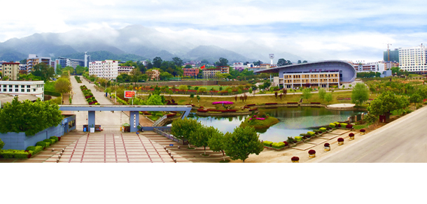龙岩学院