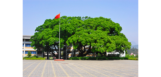 龙岩学院 - 最美大学
