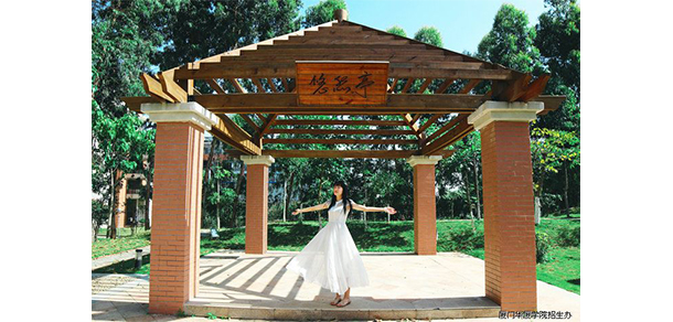 厦门华厦学院 - 最美大学