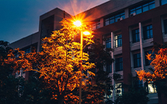 厦门华厦学院 - 我的大学