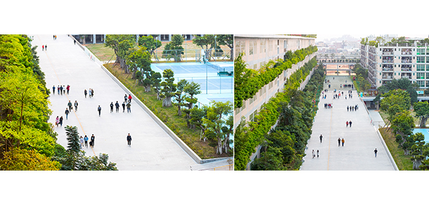 泉州职业技术大学 - 最美大学