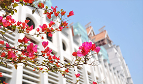 厦门大学嘉庚学院