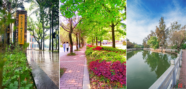 福州大学至诚学院 - 最美大学
