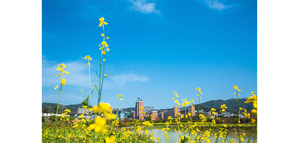福州外语外贸学院 - 最美大学