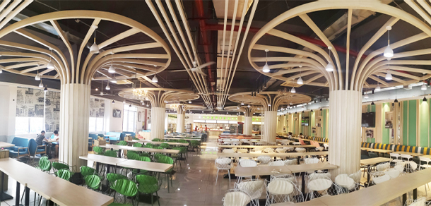 福建农林大学金山学院 - 最美大学