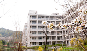 福建农林大学金山学院