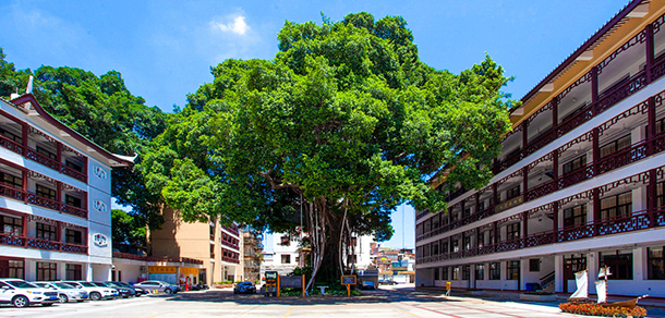 黎明职业大学 - 最美大学