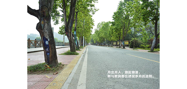 福建农林大学 - 最美大学