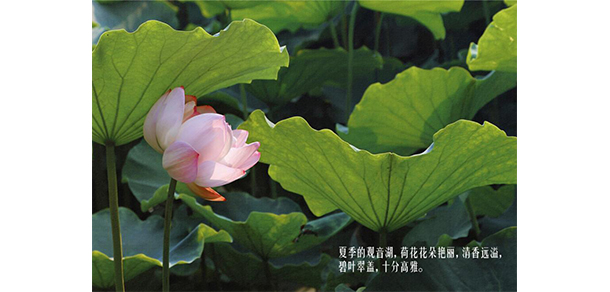 福建农林大学 - 最美大学
