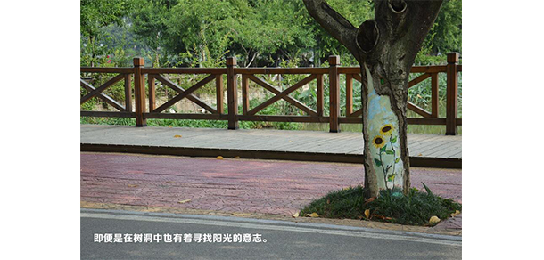福建农林大学 - 最美大学