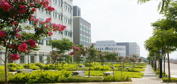 厦门华天涉外职业技术学院 - 最美大学