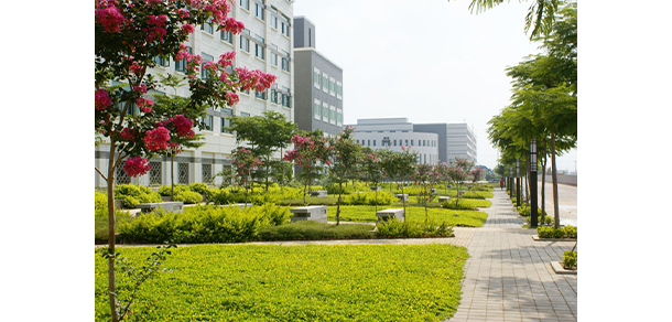 厦门华天涉外职业技术学院 - 最美大学