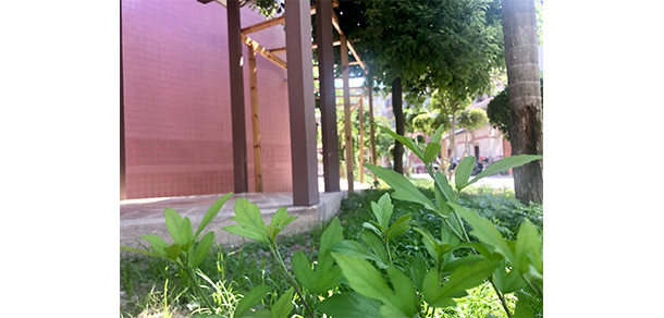 福州科技职业技术学院 - 最美院校