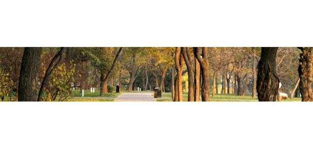 泉州工程职业技术学院 - 最美大学