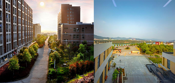 福建林业职业技术学院 - 最美大学