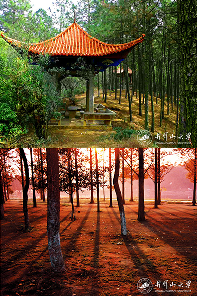 井冈山大学