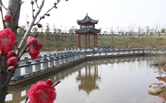 江西农业大学南昌商学院 - 我的大学